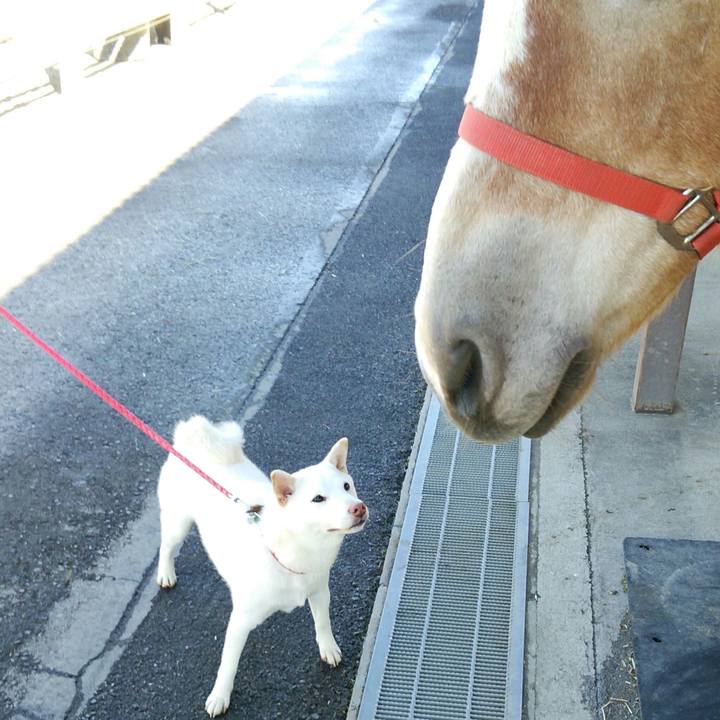 09b3f215 3cb9 4b1a b6b5 698e32efc6e1