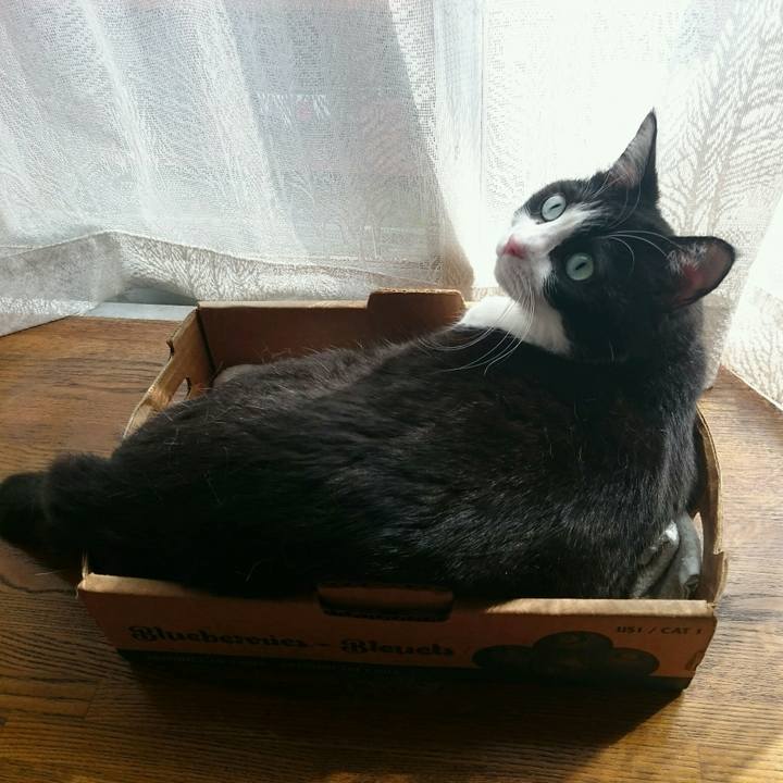 09b4a32b 7bde 4c92 ad4d f96fefc2ce7b