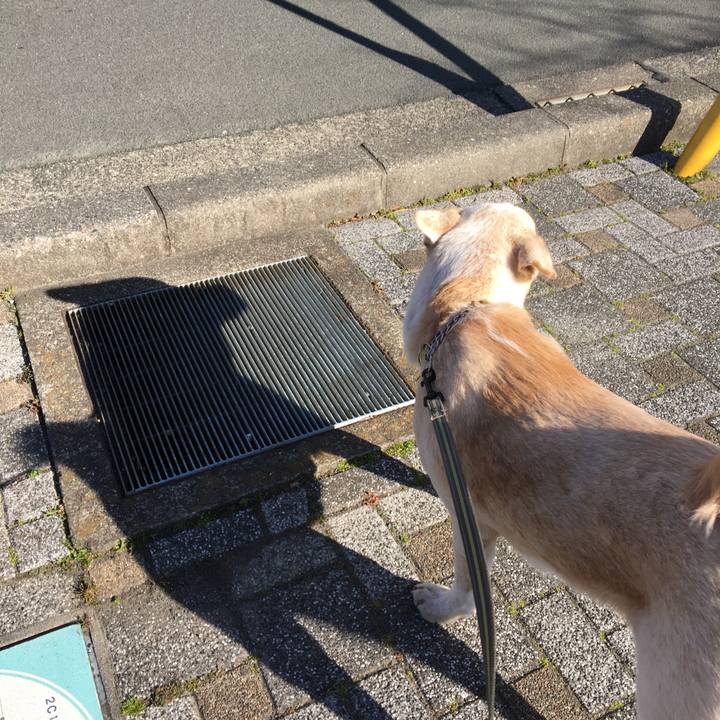 09b5f0b2 25b1 44eb b4d1 aea75d0a72e9