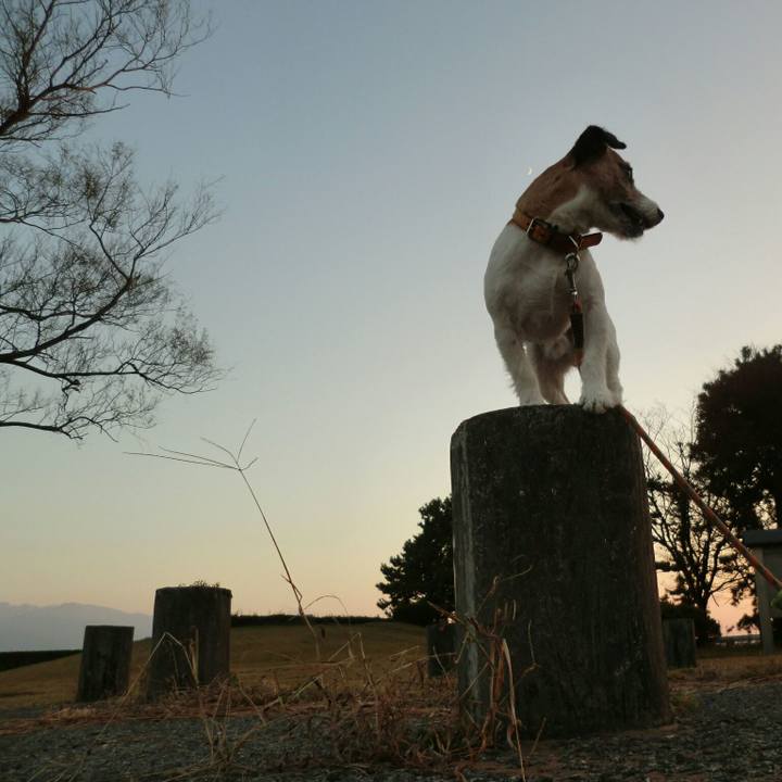 09b5f8bd 07fb 4dc3 aa85 2359067acbf1