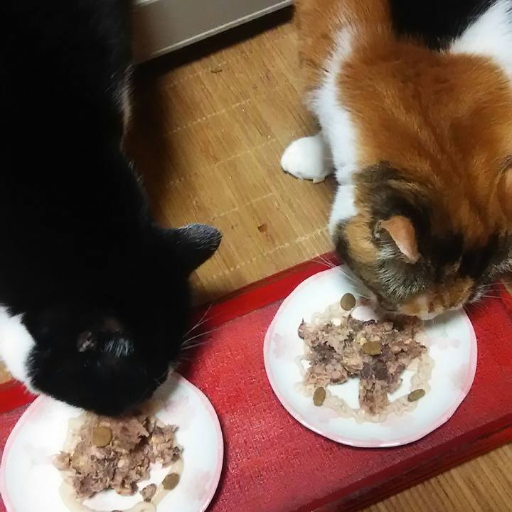 09b667bb 2857 4187 b1bc 8e86cb0a418b