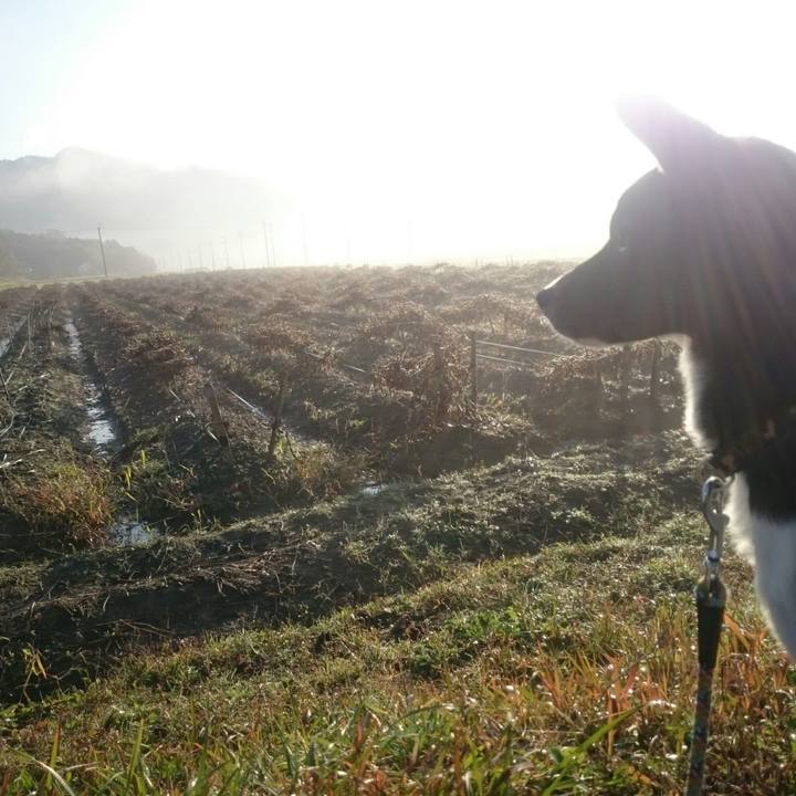 09b68bff 1d60 4841 bc61 3abdf8910980