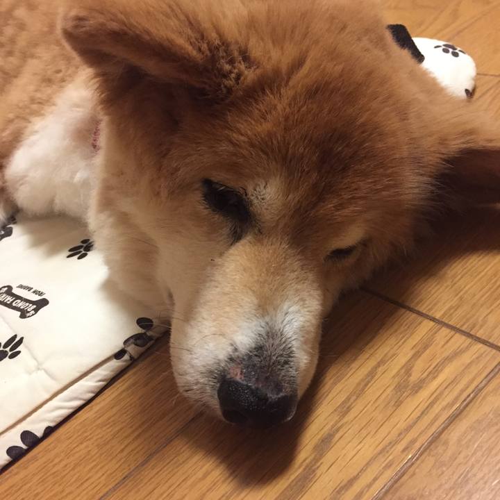 09b6bb21 a989 49be 9efe 079457709a09