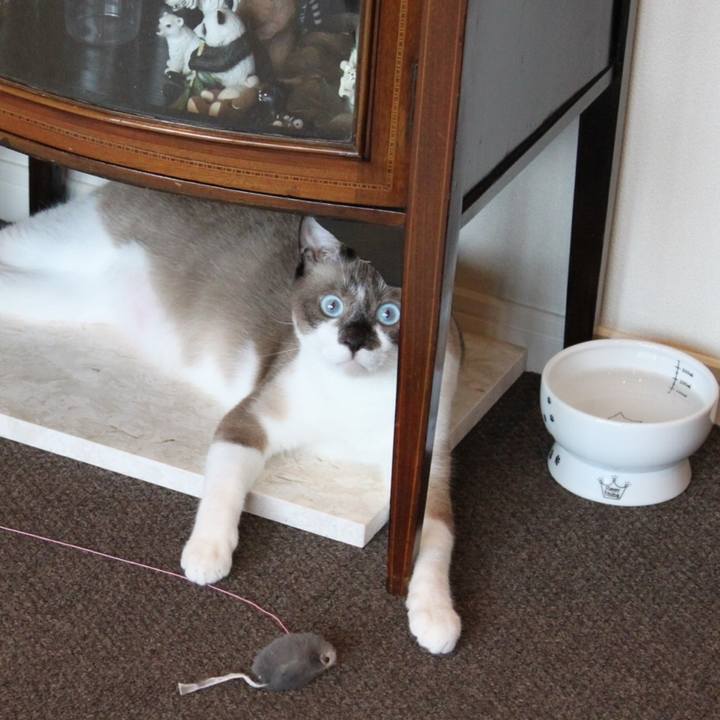 09b78e3e 209d 4565 a787 cce551e231cc