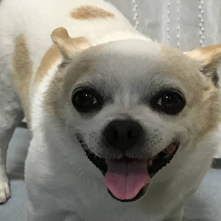 09b7ef4c 661d 491d 91b8 cd29cfa2e3b8