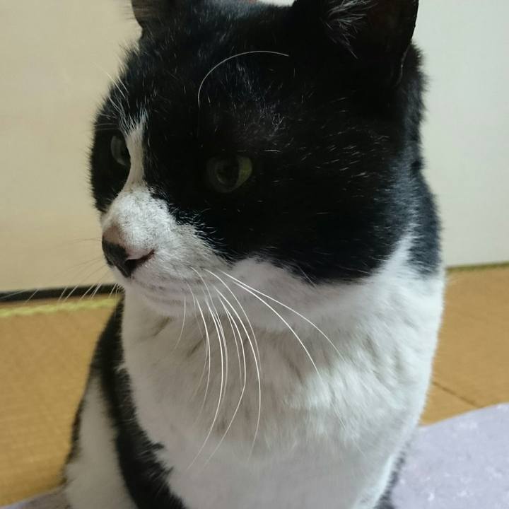 09b821ef 0535 409b 801c 2522a366cac7