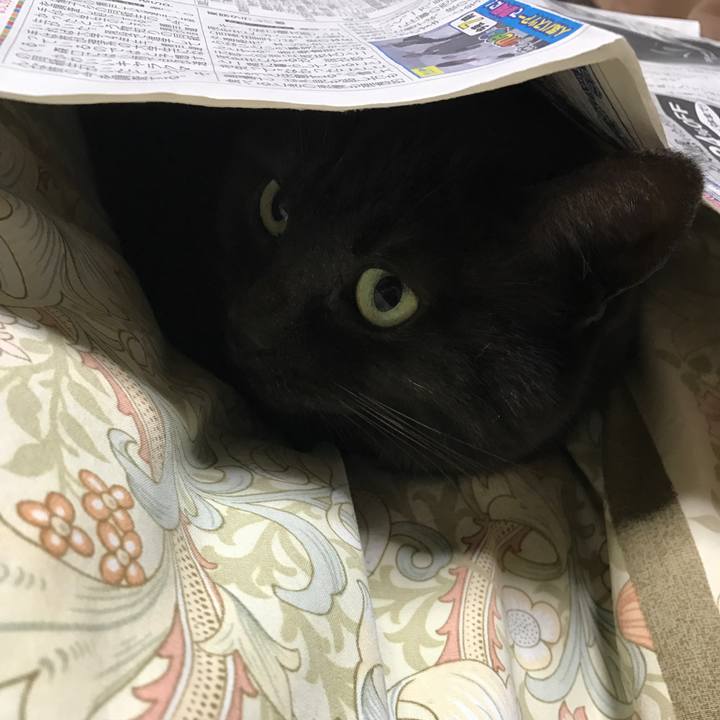 09b82433 857c 4976 889c 3710102a6a7c