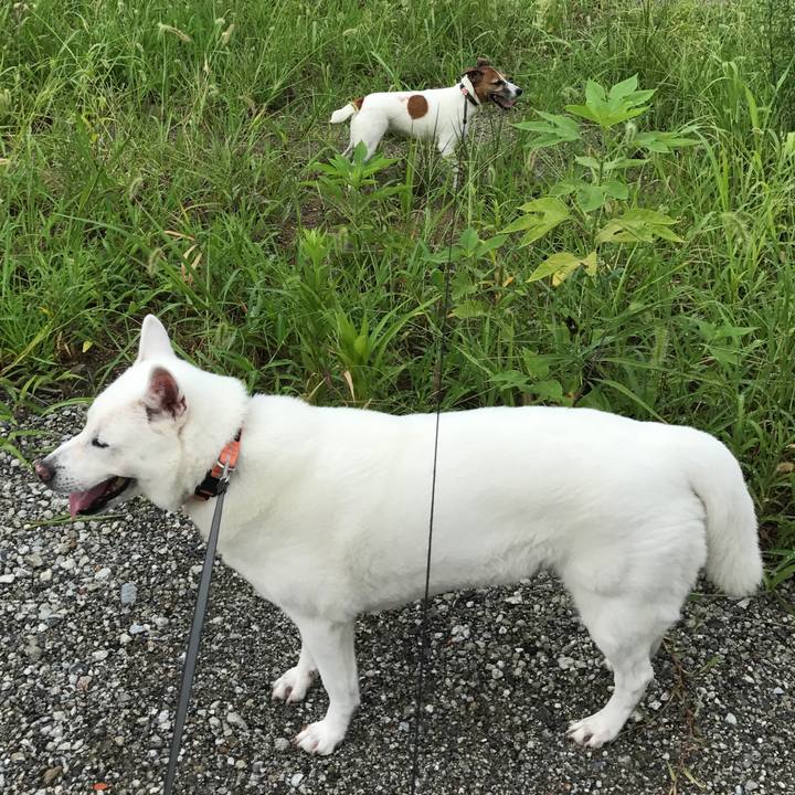 09b8f5b8 591f 4e5d a7b0 d957b528f461