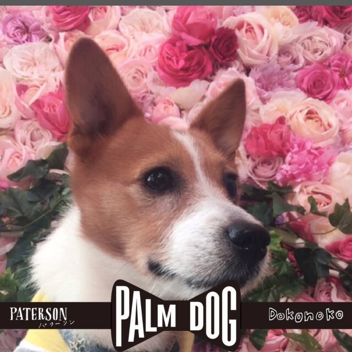 09b95927 b4a2 4281 871c c464ad166186