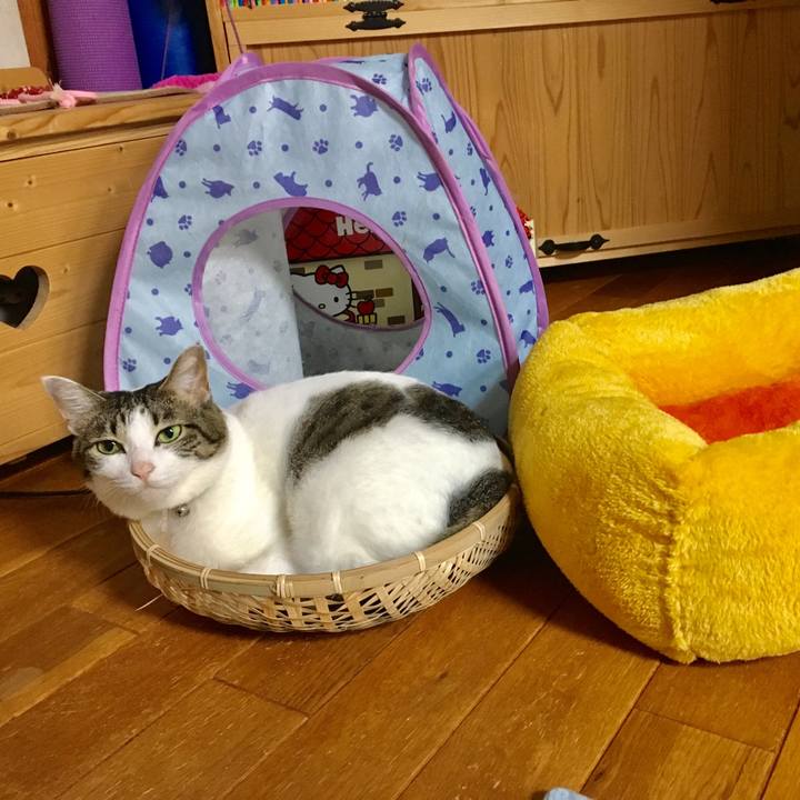 09ba1e29 5e17 4d0d 8c10 783da53cfc67