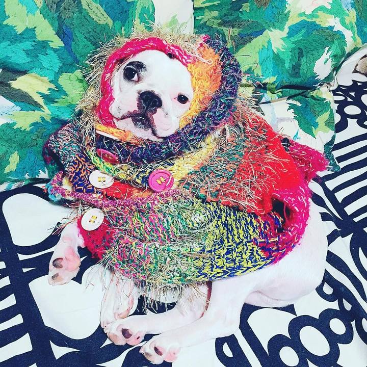 09ba2e5f 6834 47fc 8dc7 fac09e0e689e