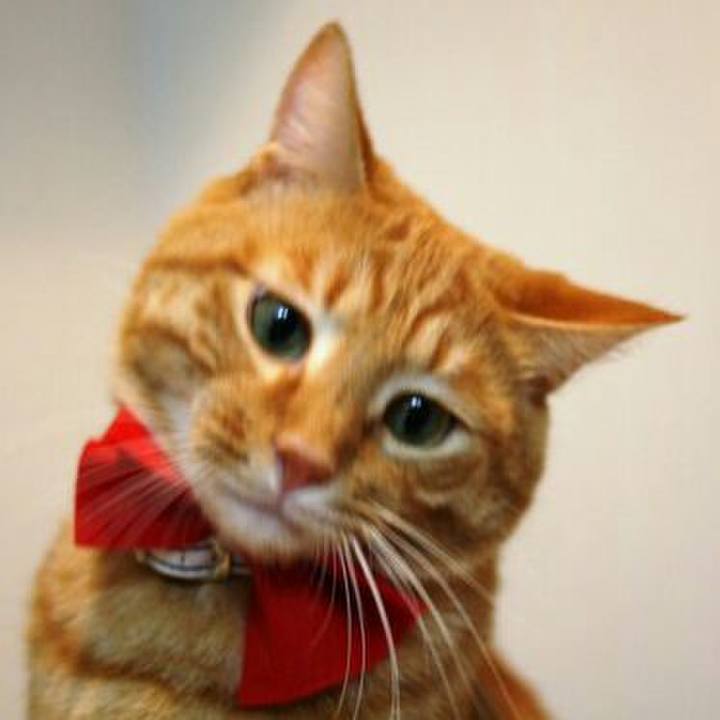 09ba5fe4 c77c 4f2f 94f6 5ff7dc27666a