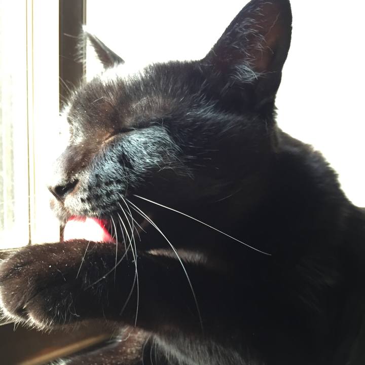 09ba7427 9979 400c 8157 eaa4e53d0a40