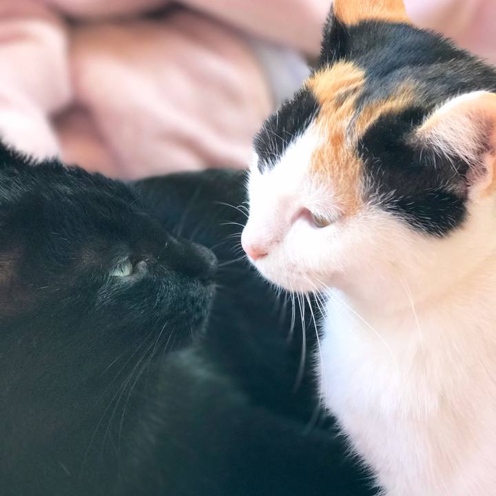 09ba7c9b 1ec0 4593 8591 03e23f298cc3