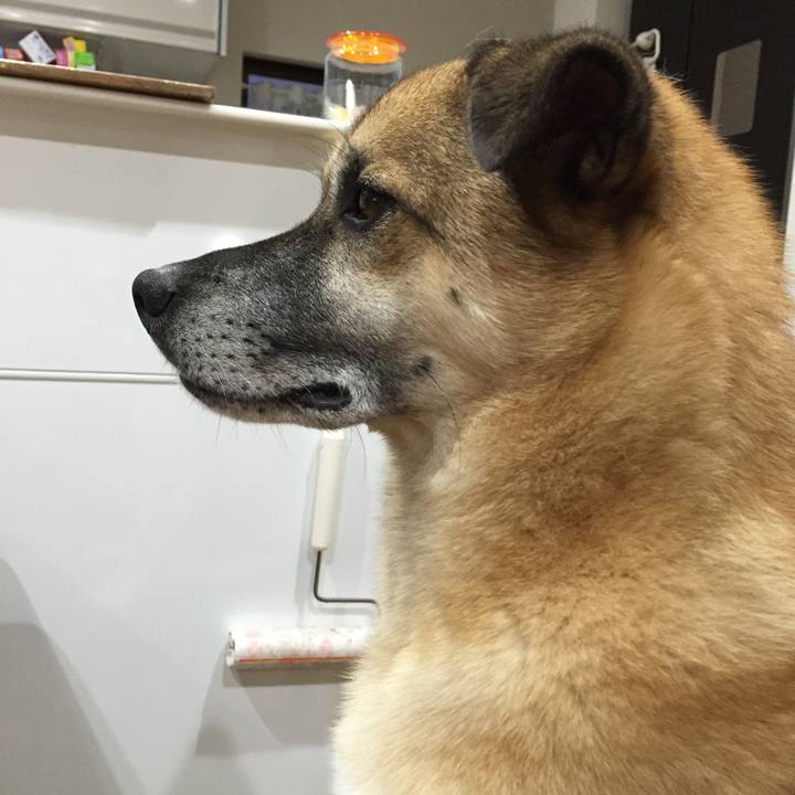 09baeb26 41f3 4284 9129 f10b4700da75