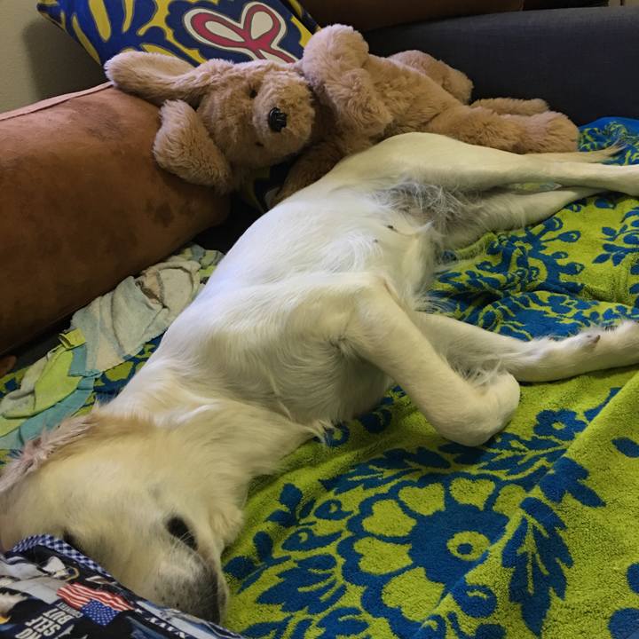 09bb26f9 7e9d 41a9 be50 ef8cb6c8019c