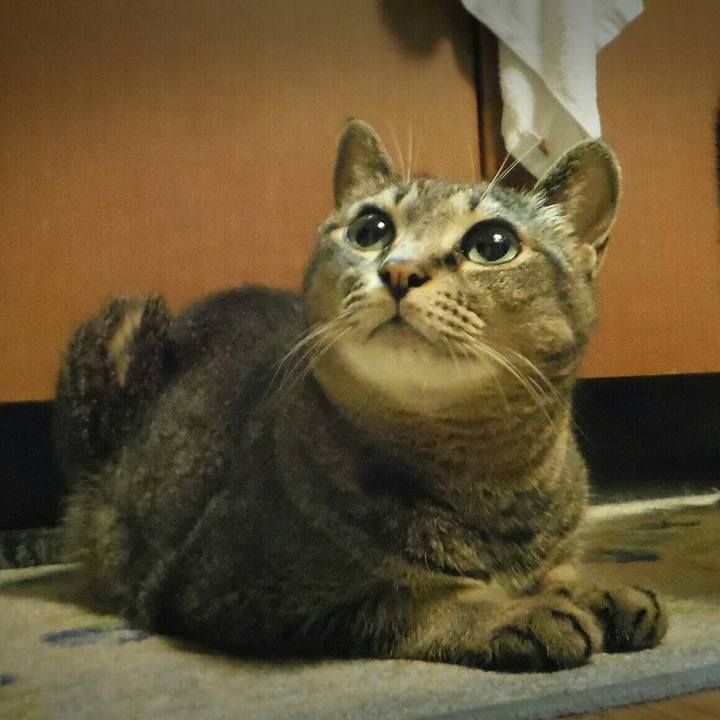 09bb2e29 e87c 4e16 a8ce c5ce389396c6