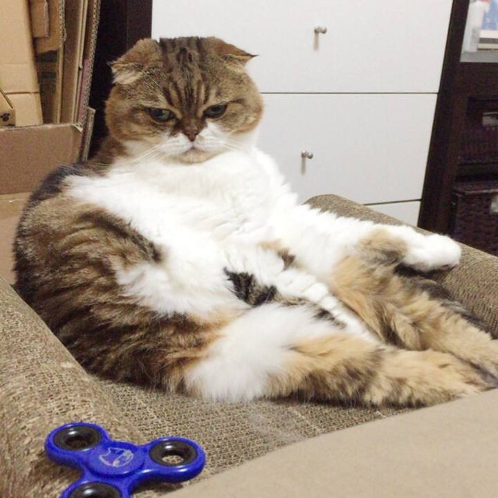 09bc55e8 e4fb 439b 8076 f61bd5b3abfc