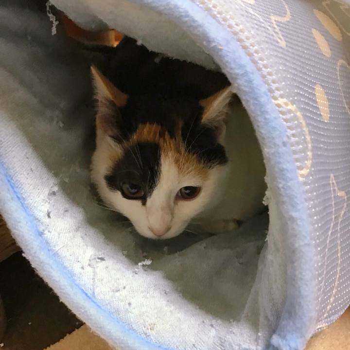 09bc6068 f9a5 4bb3 a8c0 e035917cd2c8