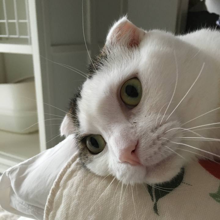 09bcc2fb 7296 4df3 9767 de7495deece5