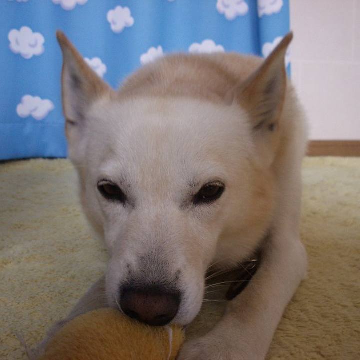 09be134f 45f9 4226 b374 8ce912672ccb