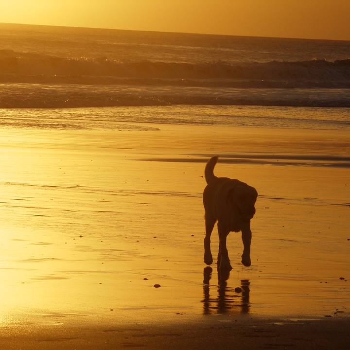 09be1669 2293 49f7 b5cc 283edeec94cf