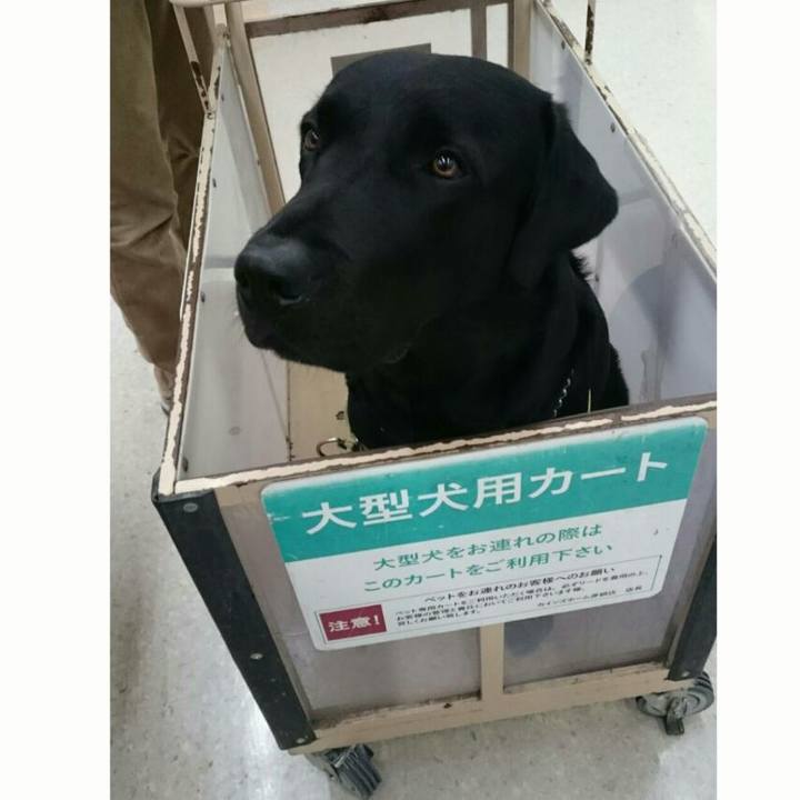 09bede60 7f6b 409c 8dd9 7cc2001b0d3e