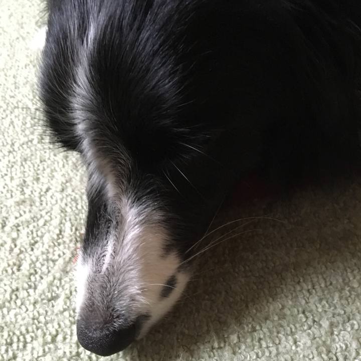 09bf25d9 8575 4b30 9dde 12f237bdbfd8