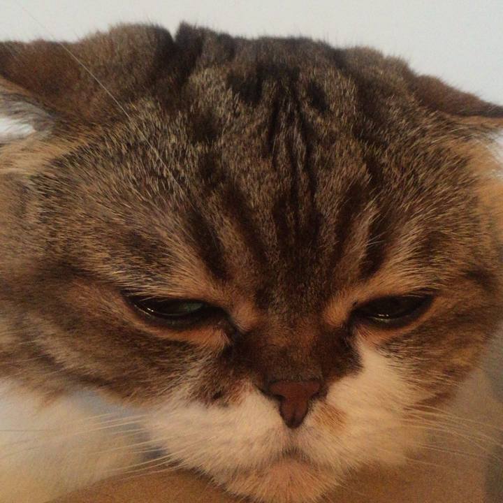 09c13ceb 4bef 482a b889 61b082ec2ae1