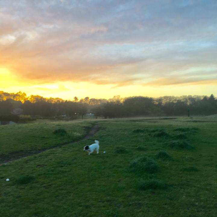 09c16a4e d485 4724 904f c25066e1b481