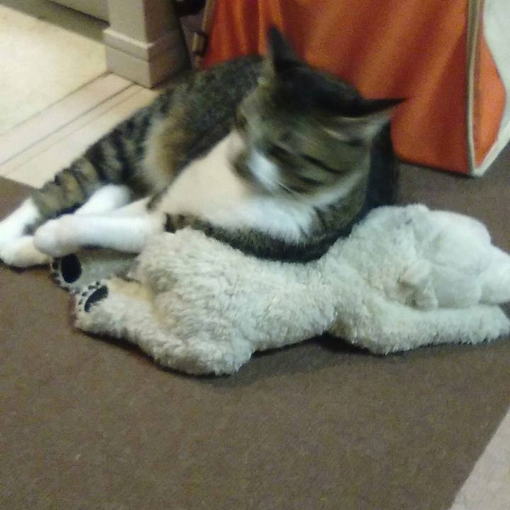 09c1ac30 c619 4a34 a005 b3fb65bb59ee