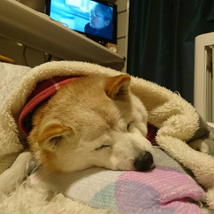 09c1d0e2 5ce2 4772 91b2 30bd920b0c4e