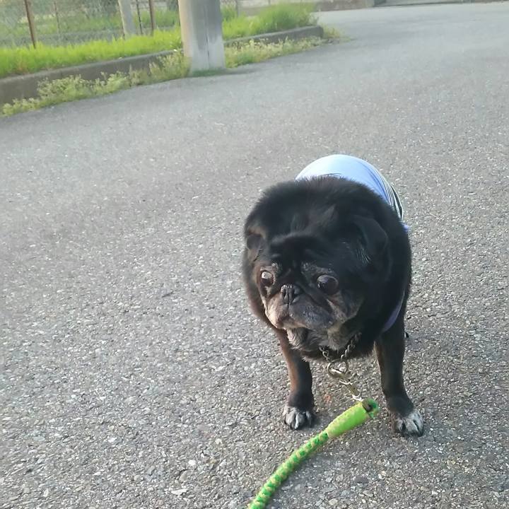 09c22469 517a 43d2 8295 f31a1bb7907e