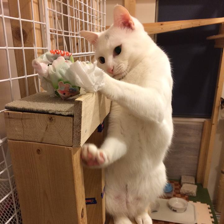 09c283d2 bcde 4546 9fda 60aacd64dcef