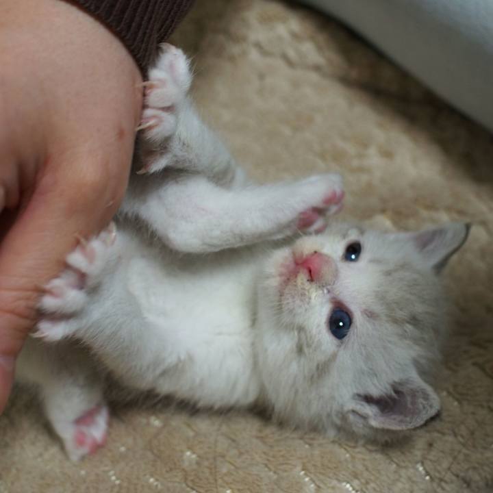 09c287ce cc83 4b0a a7c8 1ec792e69422