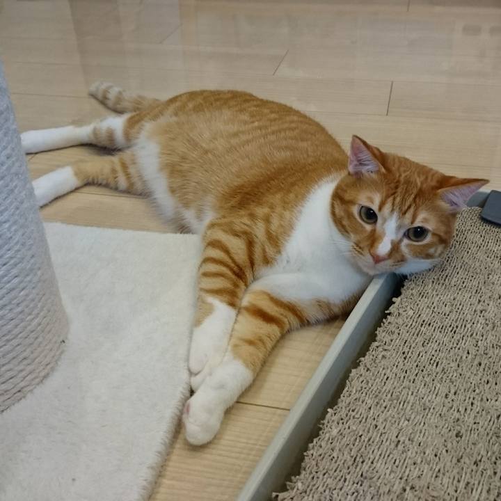 09c29570 25f4 4093 b979 3de87f041eb5