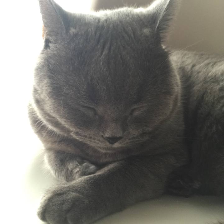 09c2f6c7 ae98 4d8d 9e3b fb2a020bfb9b