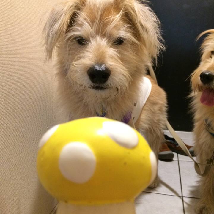 09c31ef8 8c1e 4b27 adb9 4510d12b5930