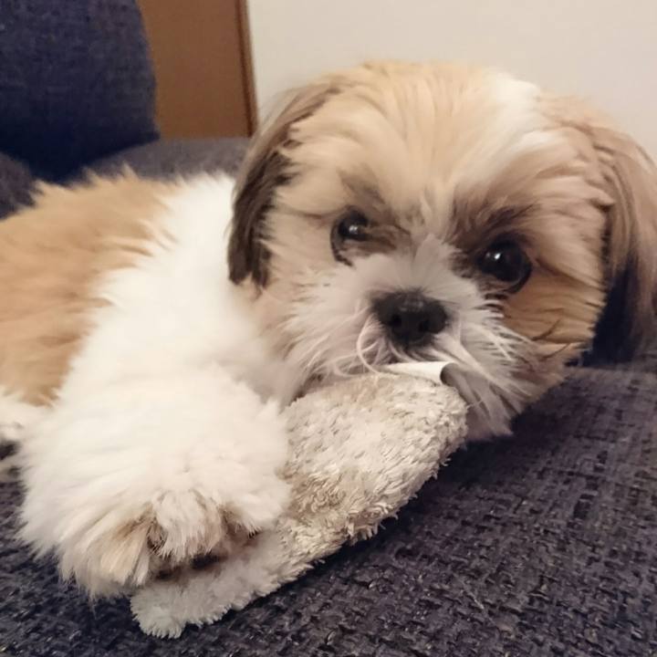 09c32659 8063 45a6 96a3 d8184f751a3e