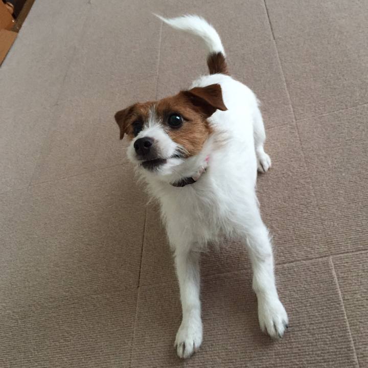 09c370bb e3db 437f bf51 a6f5c4a4eb25