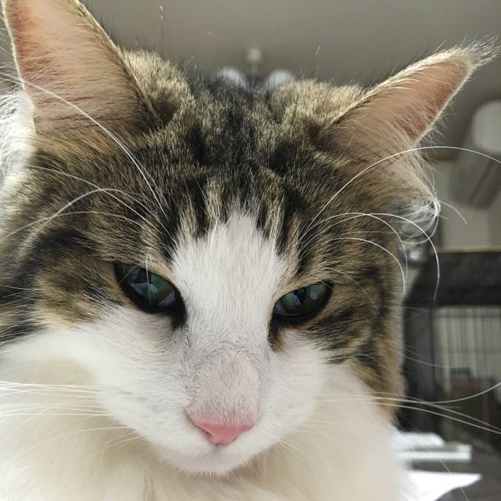 09c4e2f6 b1f9 47d1 93a3 f92d3a953a5e