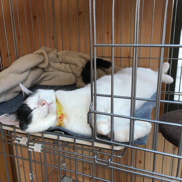 09c54ae5 f194 4bd9 bff1 0ffe8bd046d3