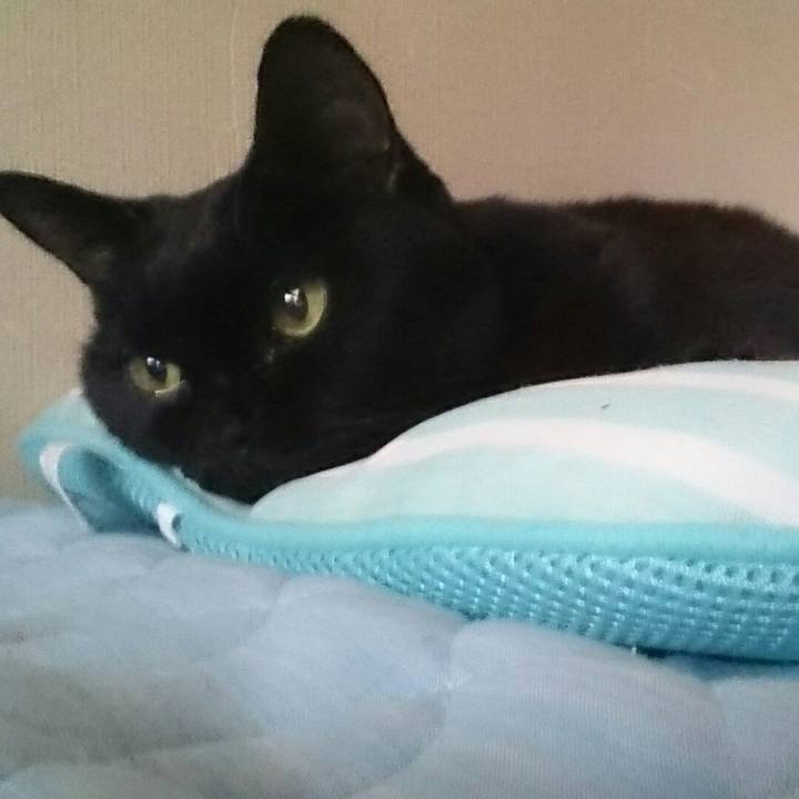 09c5f875 56dc 40dd a318 37adf5b83402