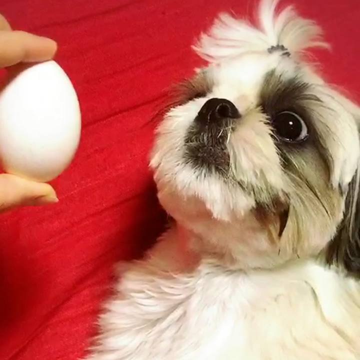 09c60e82 82b0 4b70 9d8b 193b63150976