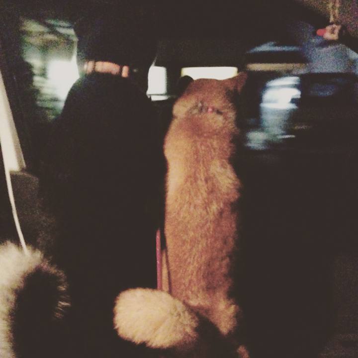 09c6b5a1 37cb 4040 a611 10e87befc449