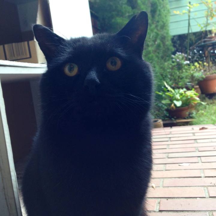 09c71b9d 7d73 48a0 9b6e a90ab649364e