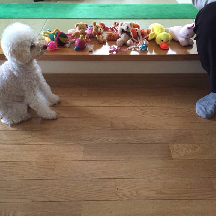 09c72322 efc0 4c13 8c8f 296599208dfc