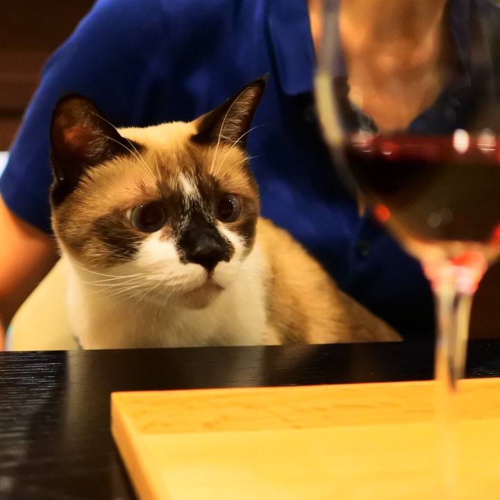 09c7dfc8 295a 46f7 bd5f 97b12f230d13