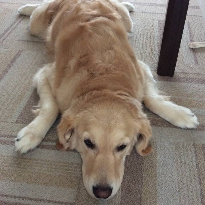 09c957e2 9649 4dbb a709 17508617f255