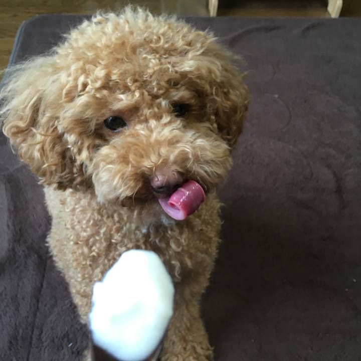 09c95fce 79a5 4232 b84b b77a1b4c99d0